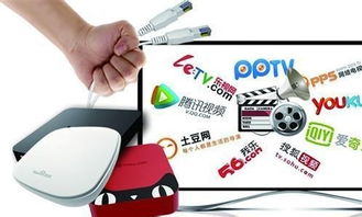 霸道“总菊”与互联网电视 信息服务博弈记（上篇）